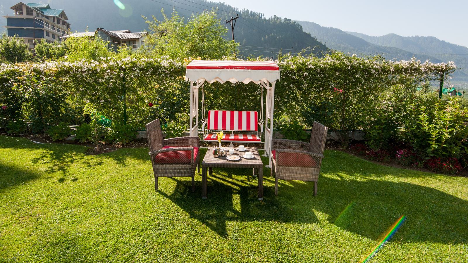 Garden swing by the hedge